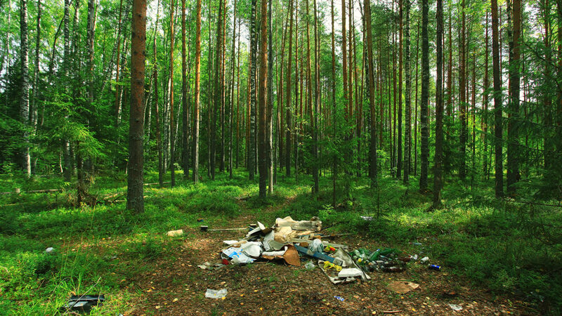 Când mergi în natură lasă cuvântul ”biodegradabil” acasă!
