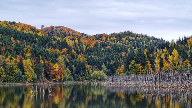 Rezervația Naturală Lacul Cuejdel – locul mirific de lângă Piatra Neamț