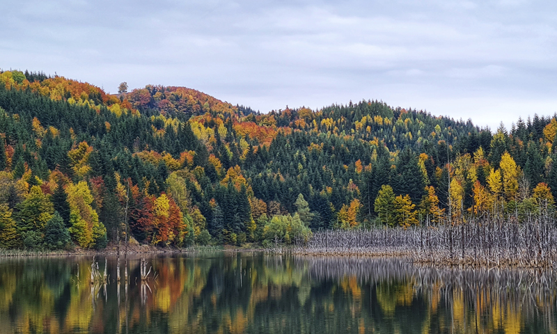 Rezervația Naturală Lacul Cuejdel – locul mirific de lângă Piatra Neamț